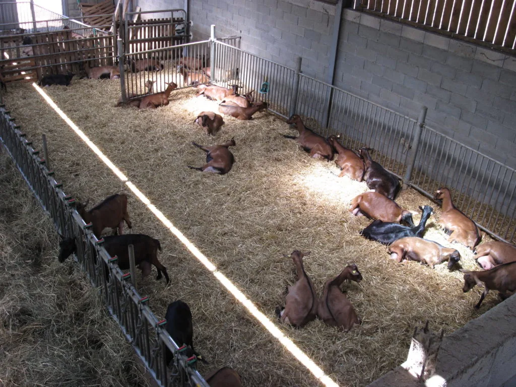 ferme 118