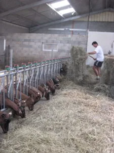 ferme 153