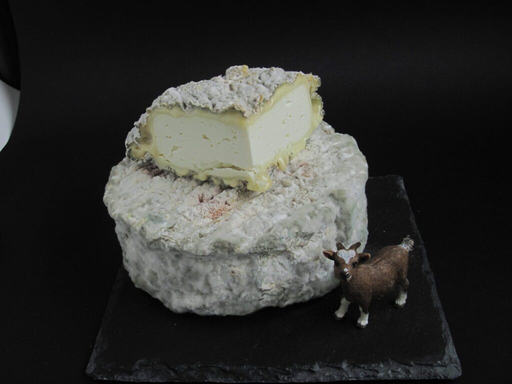Tomme du Bila (1/4)